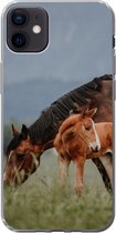 Geschikt voor iPhone 12 mini hoesje - Paarden - Veulen - Natuur - Siliconen Telefoonhoesje