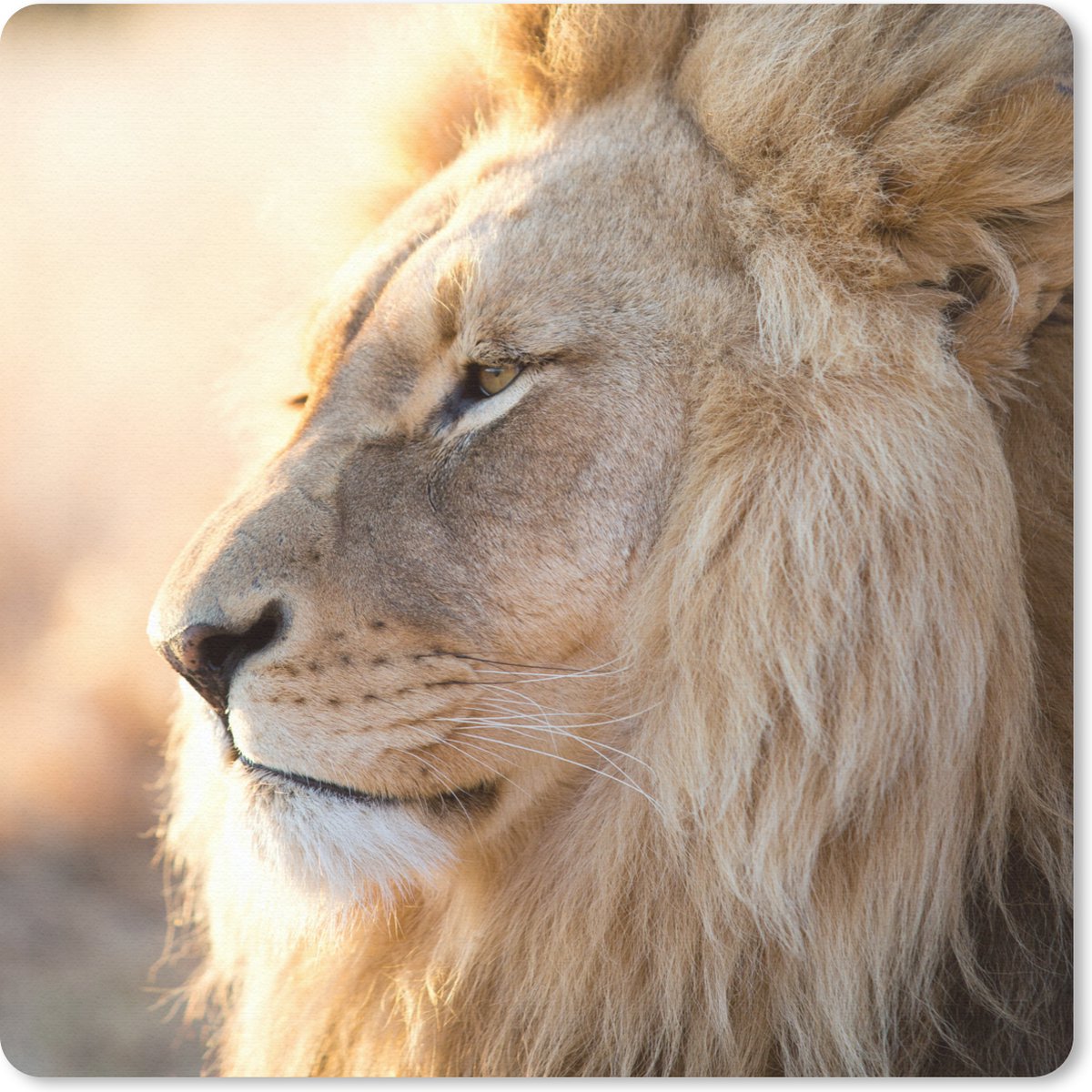 Muismat 30x30 cm - Mousepad Profiel- Leeuw - Dieren - Muismatten