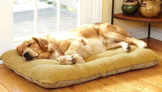 Catalpa Blume XXL Dog Bed, Dog Sofa, Dog Cushion, Washable, 125 x 80 x