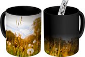 Magische Mok - Foto op Warmte Mok - Paardenbloemen - Gras - Zonsondergang - 350 ML - Uitdeelcadeautjes