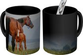 Magische Mok - Foto op Warmte Mok - Paard - Veulen - Berg - 350 ML - Uitdeelcadeautjes