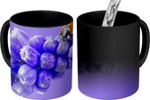 Magische Mok - Foto op Warmte Mok - Lieveheersbeestje op een paarse druifhyacint - 350 ML - Uitdeelcadeautjes