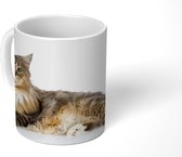 Mok - Studio shot van een kleurrijke Maine Coon kat - 350 ML - Beker - Uitdeelcadeautjes