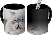 Magische Mok - Foto op Warmte Mok - Grijze Perzische kat met lichtblauwe ogen - 350 ML - Uitdeelcadeautjes