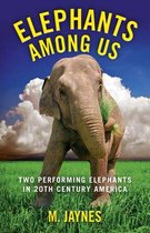 Elephants Among Us