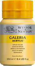 Winsor & Newton Galeria - Acrylverf - 250ml - Naples Yellow