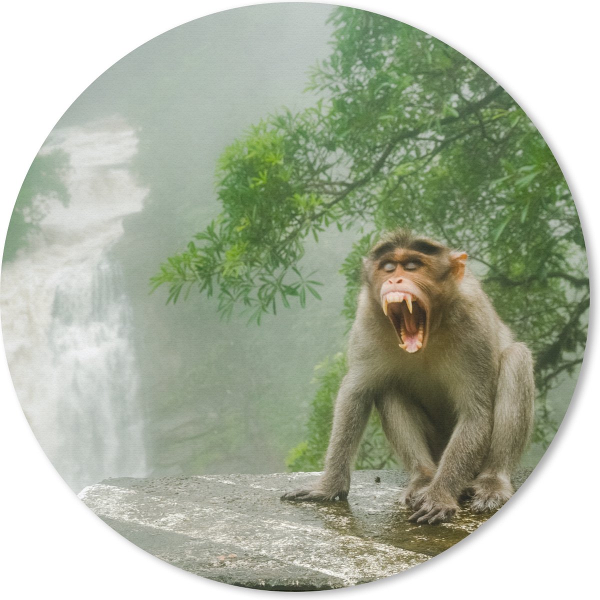 Muismat rond 30x30 cm - Mousepad Schreeuwende aap voor waterval - Ronde muismatten