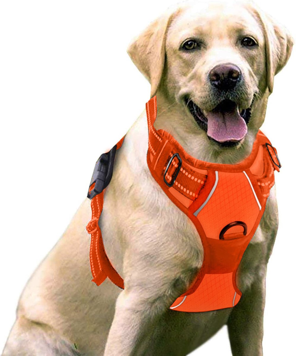 Harnais Chien / Harnais pour petit chien- Orange taille XL -- Anti Traction  Réglable Réfléchissant Matériau Respirant + Bol