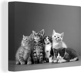 Canvas Schilderij Kittens - Blauw - Roze - Meisjes - Kinderen - Jongens - Kind - 120x90 cm - Wanddecoratie