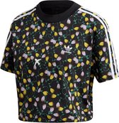 adidas Originals Crop top Allover Print Tee-shirts Vrouw Veelkleurige 38