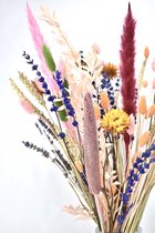 Droogbloemen - boeket 50 cm - Mixed Colors - Natuurlijk Bloemen