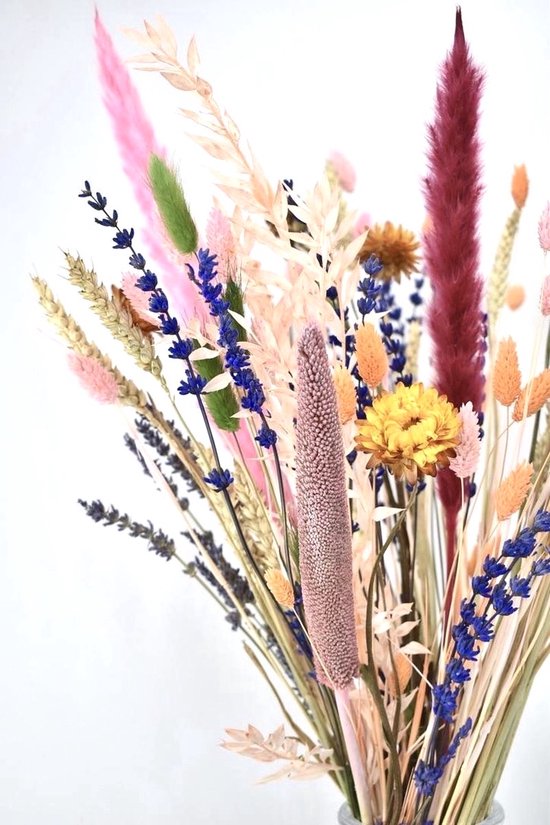 Fleurs séchées - bouquet 50 cm - Couleurs Mélangées - Natuurlijk Bloemen