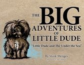 The BIG Adventures of Little Dude
