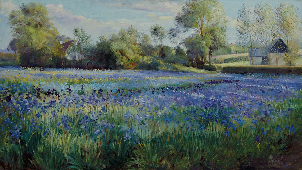 poster Verkerke Timothy Easton - Dappled light on Irisfield 80 x 60 cm