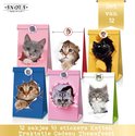 Honden en katten versiering - Alles voor een kinderverjaardag - Pagina 3