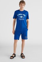 O'Neill Shorts Men STATE JOGGER Surf The Web Blue Xxl - Surf The Web Blue 60% Cotton, 40% Recycled Polyester Shorts 3