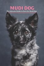 Mudi Dog: The Ultimate Guide to Care for Mudi Dog