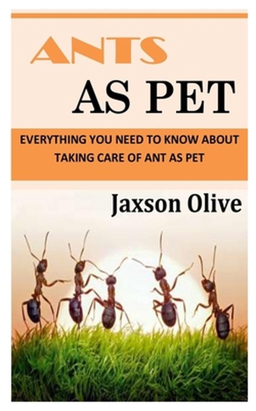 Ants as Pet Everything You Need To Know About Taking Care of Ant as