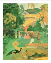 poster Verkerke Paul Gaugin - Matamoe 60 x 80 cm