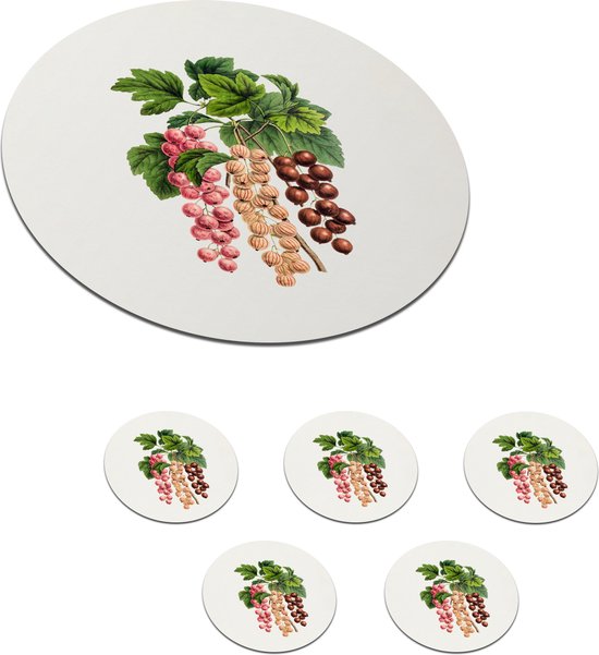 Onderzetters voor glazen - Rond - Fruit - Vintage - Bessen - 10x10 cm - Glasonderzetters - 6 stuks