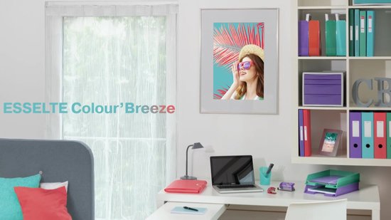 Esselte Colour'Breeze A4 Uitzetbare Projectmap - Organiser met 5 Tabbladen/6 Vakken - Groen