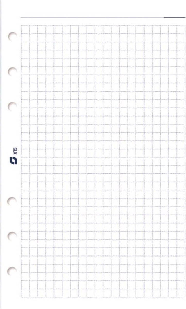 Succes standard XT5 - notitiepapier - geruit -wit