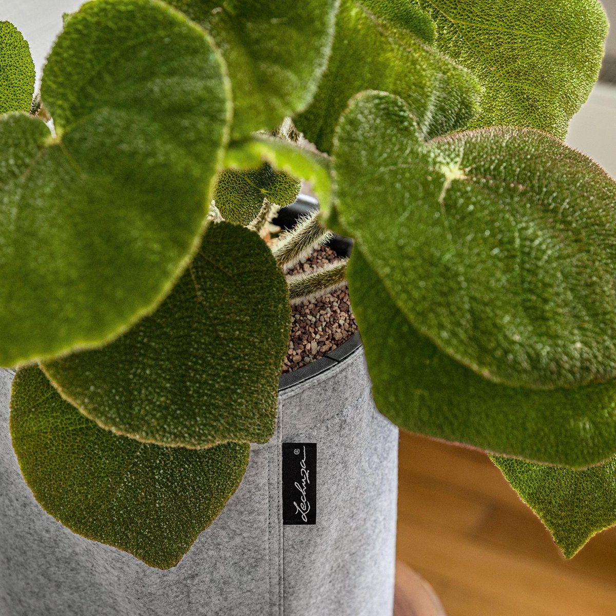 Zwarte vilten plantenbak 30 x 60 cm kopen? Slim gekozen