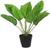 kunstplant Maranta S 25 x 25 cm zijde groen/zwart