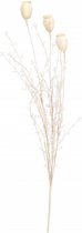winterboeket klaproos open 55 x 8 cm crÃ¨me