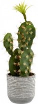 kunstplant Cactus 14 x 16 x 20 cm groen/grijs