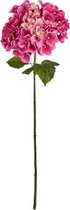droogbloem hortensia 70 cm roze/groen/geel