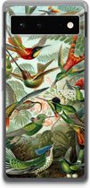 Case Company® - Google Pixel 6 hoesje - Haeckel Trochilidae - Soft Cover Telefoonhoesje - Bescherming aan alle Kanten en Schermrand