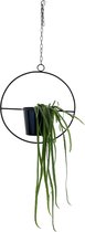 Adorist, Plantenhanger - Platen hanger met pot - Plantenhanger rond - Plantenhanger zwart - Hangplant.