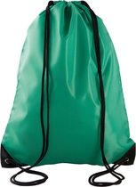 2x stuks sport gymtas/draagtas in kleur grasgroen met handig rijgkoord 34 x 44 cm van polyester en verstevigde hoeken