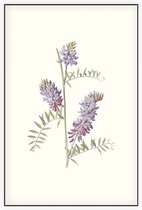 Vogelwikke (Tufted Vetch) - Foto op Akoestisch paneel - 60 x 90 cm