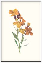 Muurbloempje (Wallflower) - Foto op Akoestisch paneel - 150 x 225 cm