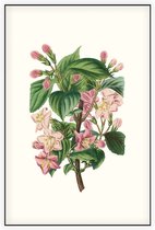 Weigela Heester Aquarel (Weigela) - Foto op Akoestisch paneel - 60 x 90 cm