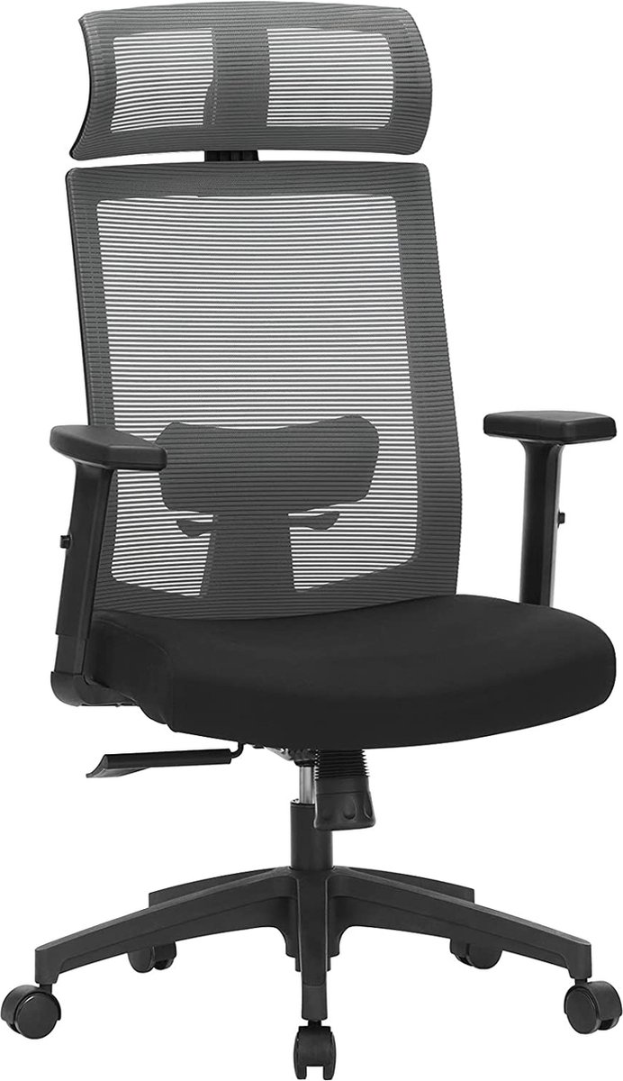 NaSK - Bureaustoel, bureaustoel met netbespanning, verstelbare lendensteun, hoofdsteun en armleuningen, vergrendelbare hellingshoek tot 120°, grijs