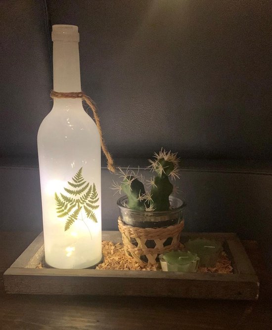 decoratieve schaal met witglazen fles met bladmotief incl verlichting, potje met cactus en 2 waxinelichtjes in een glazen houder