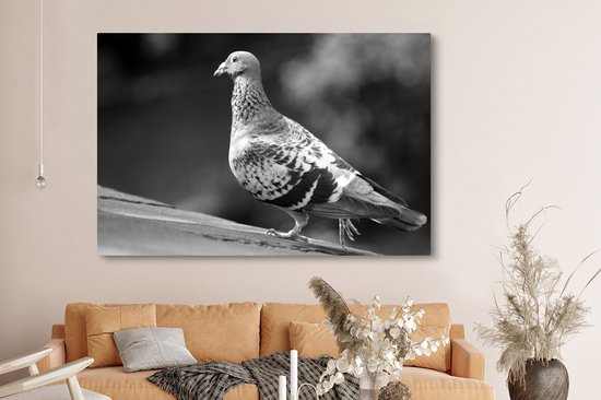 Tableau sur toile 150x100 cm - Décoration murale Pigeon voyageur sur un toit - noir et blanc - Décoration murale salon - Décoration chambre - Accessoires chambre - Peintures