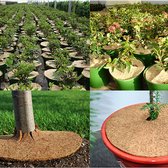 Kokos planten cover - Kokos plantenbedekking - Kokos mulch - 40cm - Mulchen - Kokos - Planten beschermen - Tuinieren