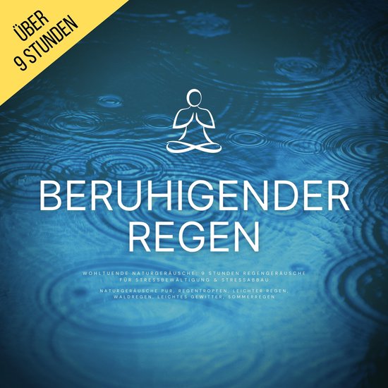 Beruhigender Regen (Naturgeräusche pur, Regentropfen, Leich ... - cover