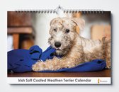 Iris Soft Coated Wheaten Terriër kalender 35x24 cm | Verjaardagskalender Iris Soft Coated Wheaten Terriër honden | Verjaardagskalender Volwassenen