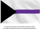 Demiseksueel Vlag 150x90CM - LGBT - Regenboog Vlag - Demiseksualiteit - Demisexual - Demisexuality - Gray-A - Grijs-aseksueel - LGBTQ - Flag Polyester