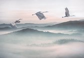 Komar Mystic Cranes Vlies Fotobehang 400x280cm 8-Banen