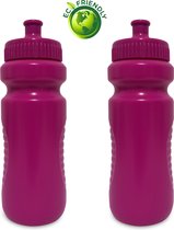 Drinkfles dames Roze 700ml x2 - Drinkbussen/waterflessen - Kinderen Volwassenen