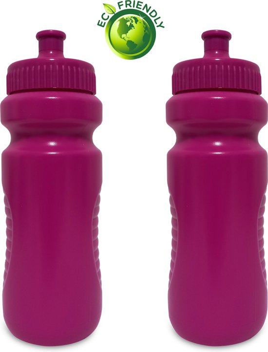 hardwerkend rouw Egomania Drinkfles dames Roze 700ml x2 - Drinkbussen/waterflessen - Kinderen  Volwassenen | bol.com