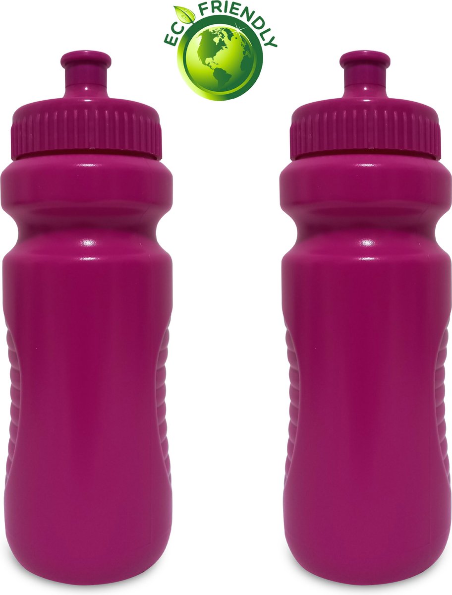 Drinkfles dames Roze 700ml x2 - Drinkbussen/waterflessen - Kinderen Volwassenen