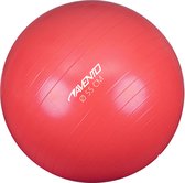 Avento Fitness/Gymbal - Ø 55cm - Roze