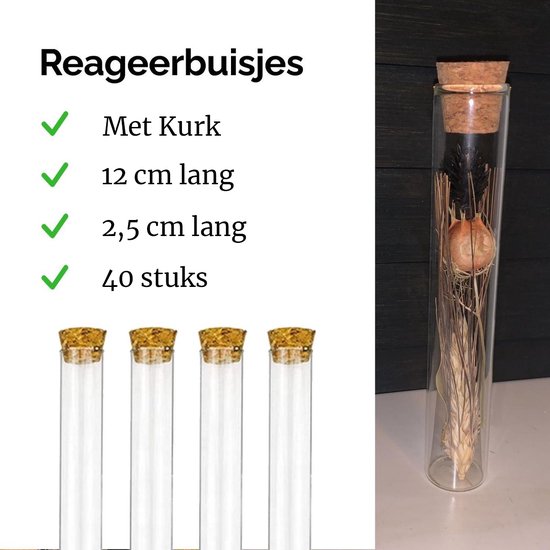 Dayshake Reageerbuisjes met kurk (40 stuks) - 12 cm x 2,5cm - Proefbuisjes  glas | bol.com